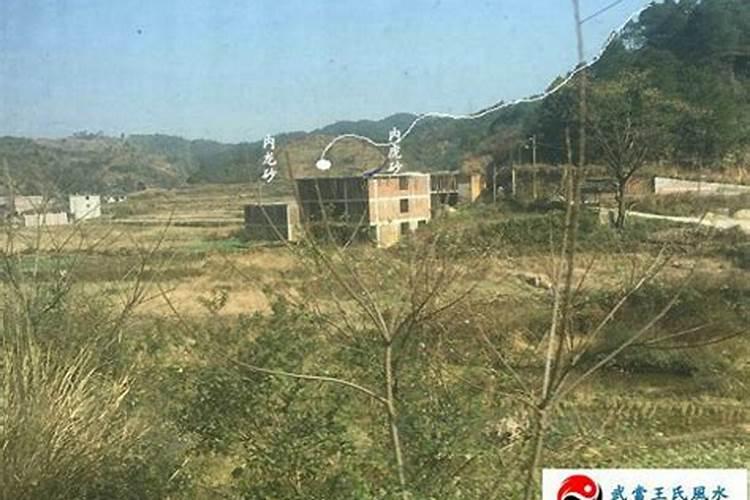 当代哪些风水师是最厉害的