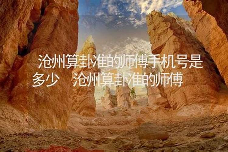 沧州市肃宁县有看坟地风水的吗