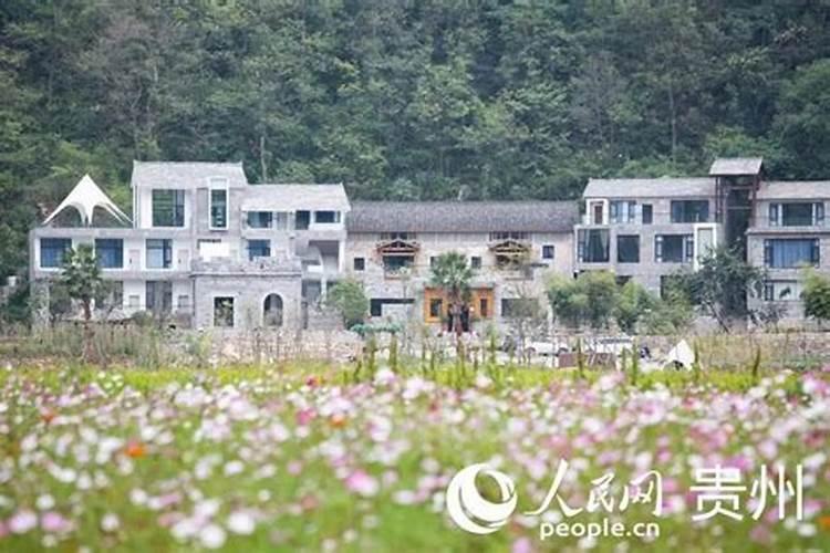 客厅为什么不能放竹子,客厅摆放竹子风水好吗