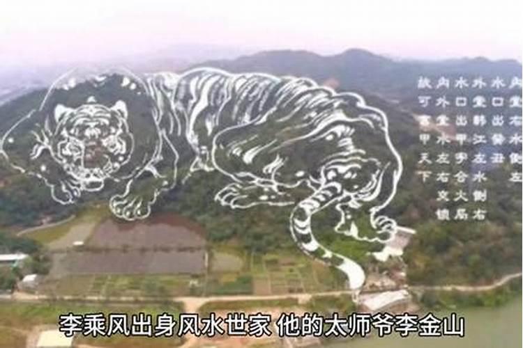 滴水风水师刘渤的老婆