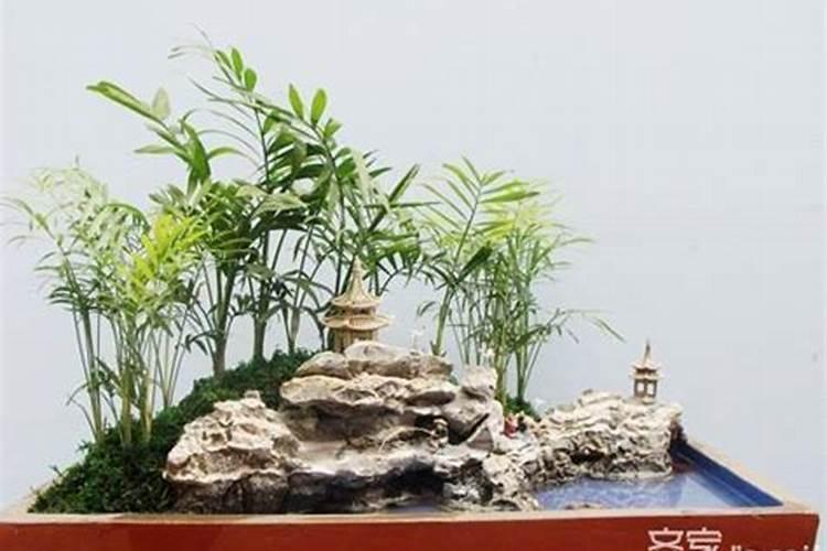 家门放什么盆景风水好