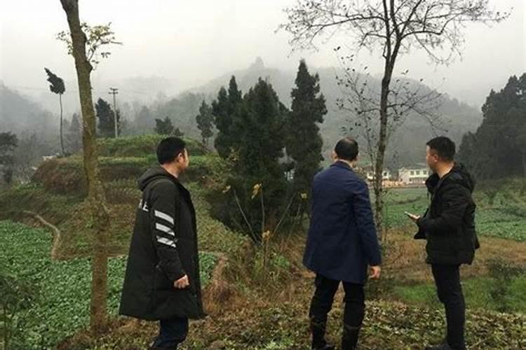 大旺寺主要看点