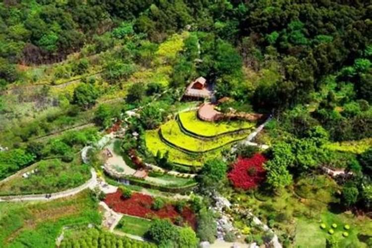 寻龙分金看缠山出自哪里？