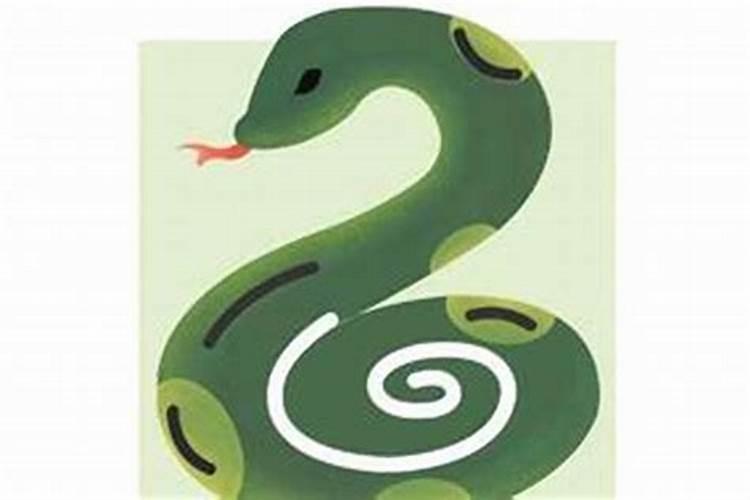 风水大师求解,白天女的看到家蛇出现。是什么预兆,怎么化解