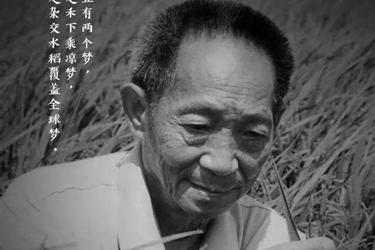扬州红山公园两天一夜游作文