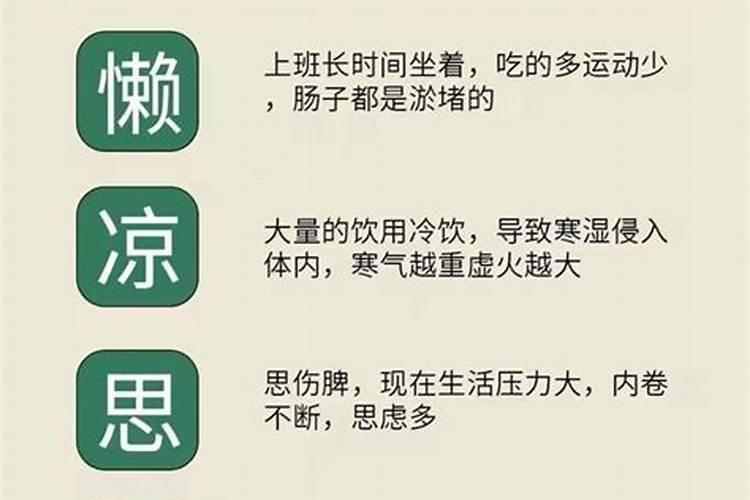 做围墙适合用哪种冬青树