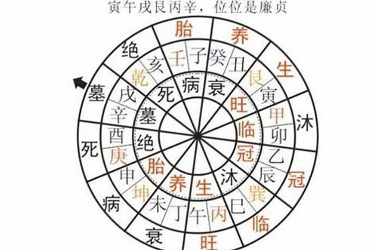 风水学最好的学校,中国有哪些风水学校