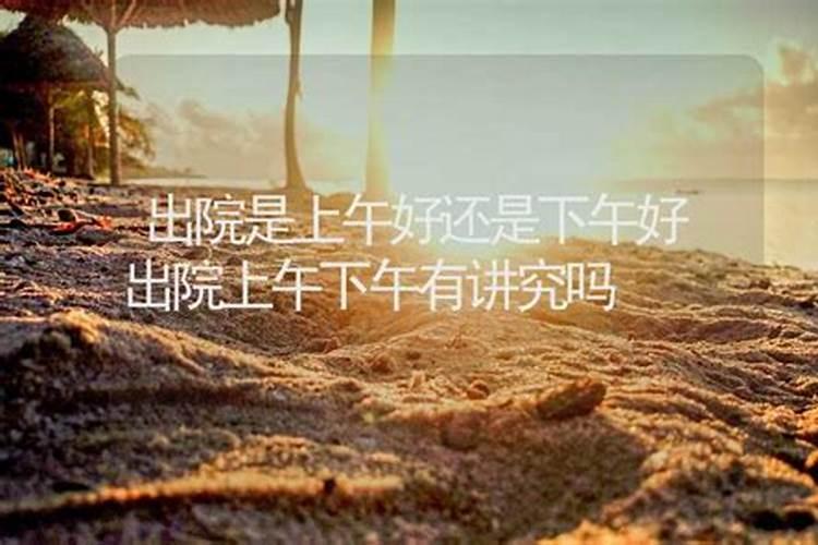 养猫风水有什么讲究