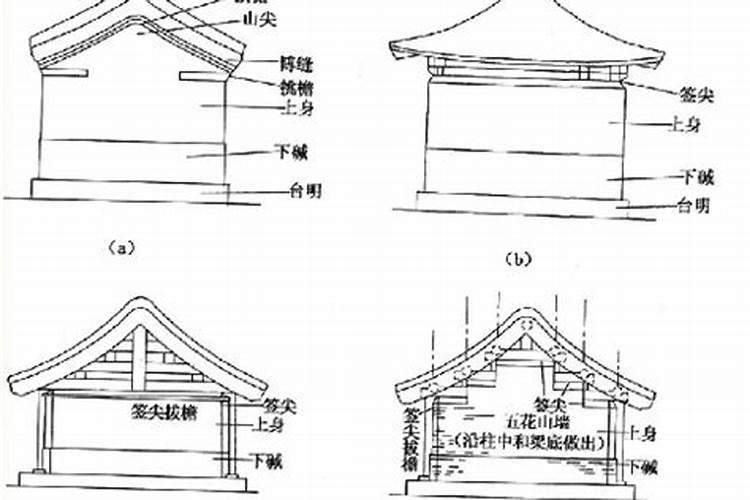家中养什么猫最旺财风水