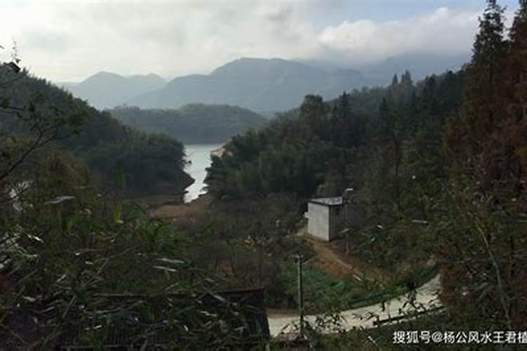 苏少隆易学经历