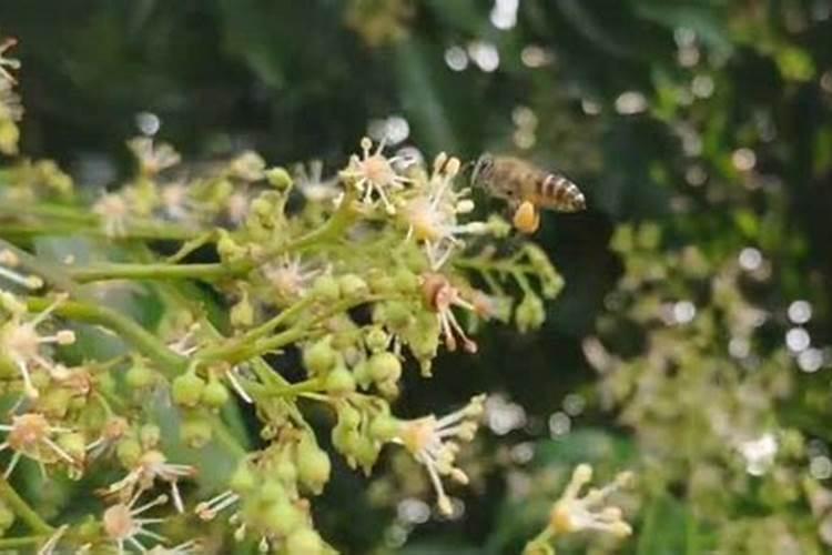 厨房门对着阳台如何化解？