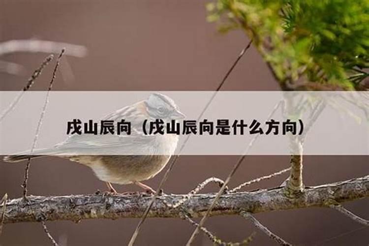 请教各位大师,2024年立墓(阴宅),立辰山戍向兼乙辛,水出辛,该分金如何...