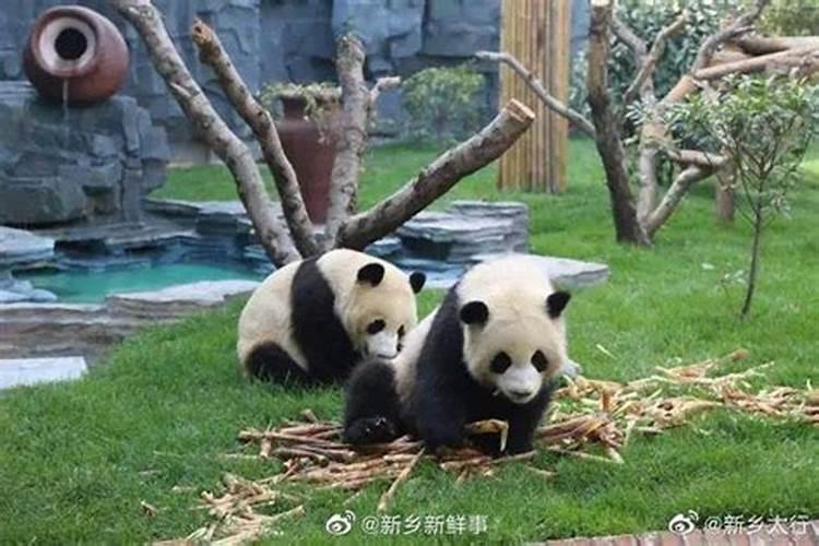 买房怎么看风水好坏 买房怎么看风水