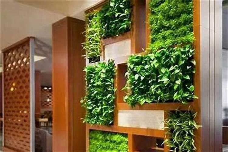 客厅屏风摆放绿植好不好