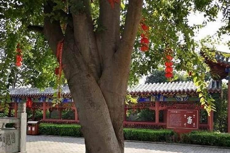 中国看风水最好的大师有哪些