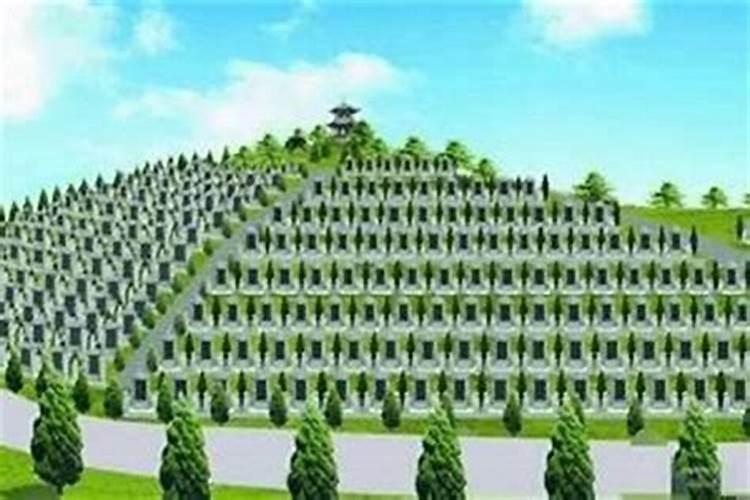 农村坟地怎么选位置