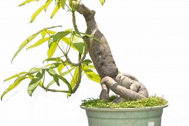 天津风水大师排名前十天津风水大师谁厉害推荐？