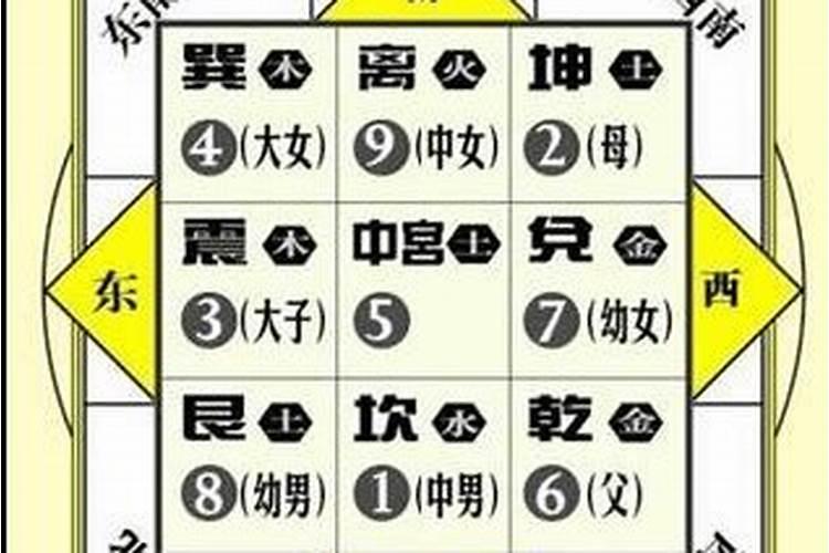 怎样区分信鸽龙骨高与低