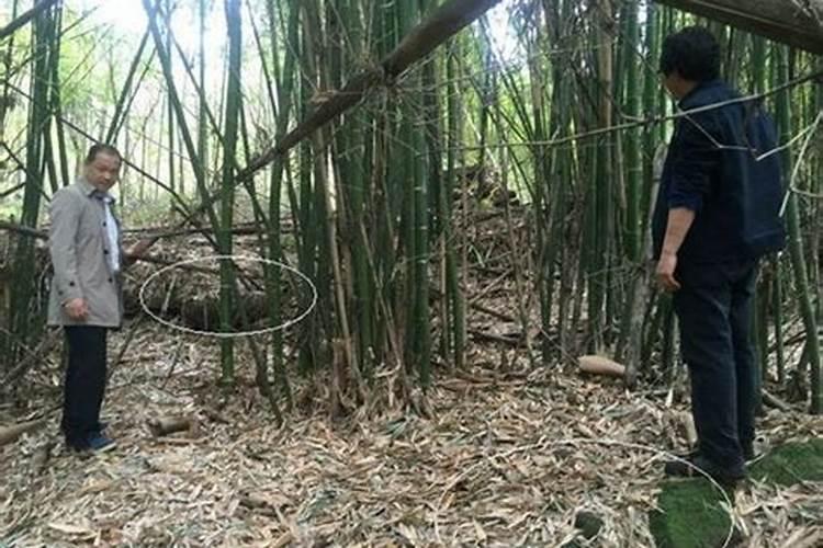 如何看古墓风水呢