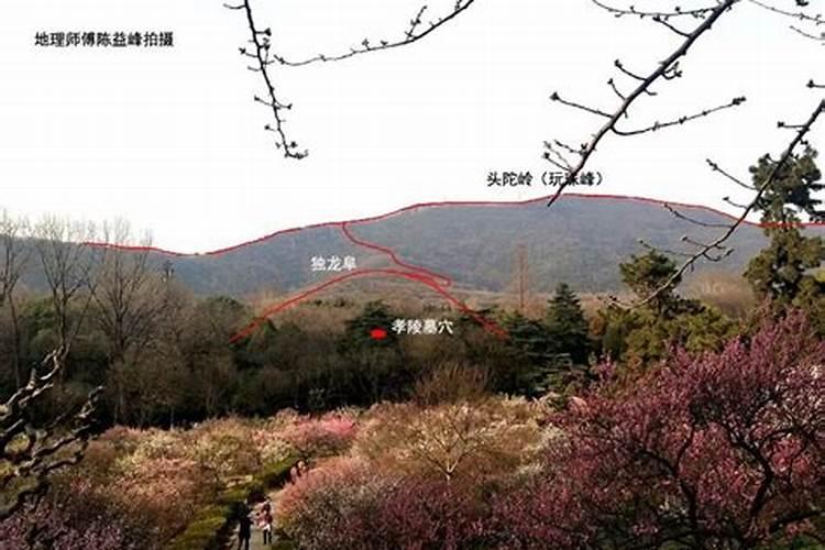 算命不收钱好吗？