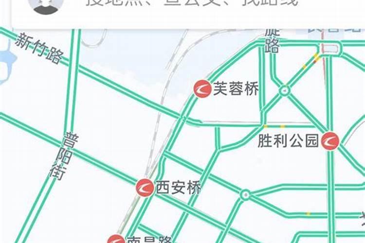 新房装修后放什么绿植最好,新家适合摆放什么绿植