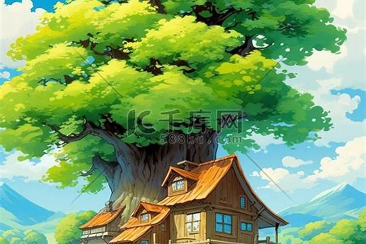 房屋被大树完全遮挡是有靠山还是财运被挡