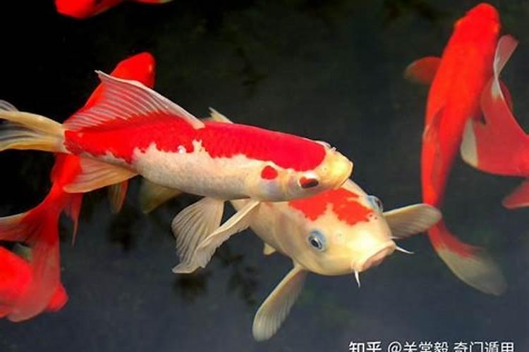 迷你世界:古风韵味的房屋设计与建造指南