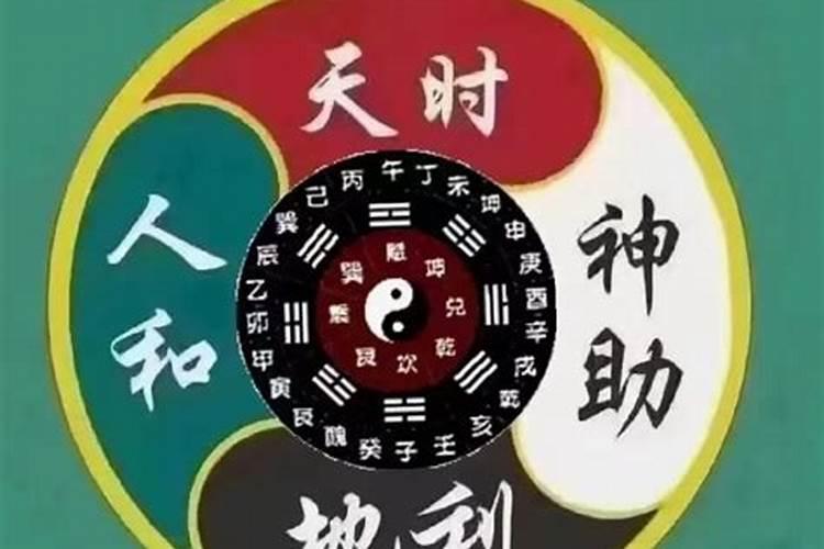 佛肚竹怎么养护