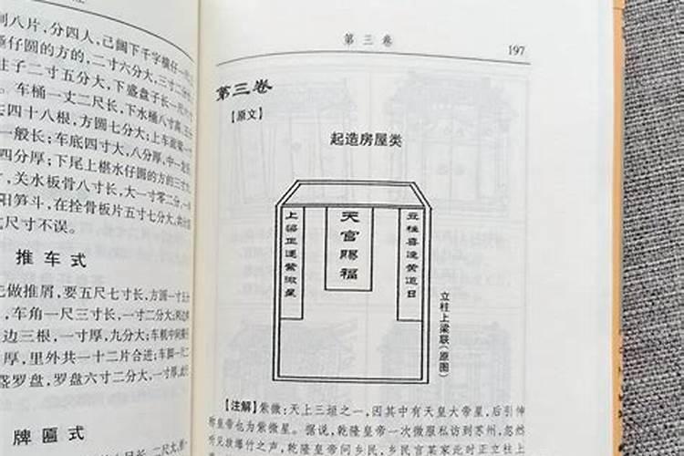 文玩竹子都有什么
