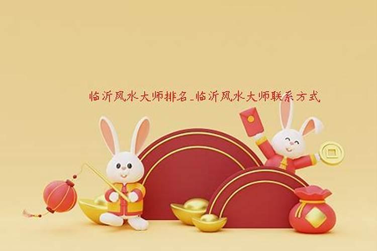 山东临沂风水大师号称“小神童”在兰山区什么位置？