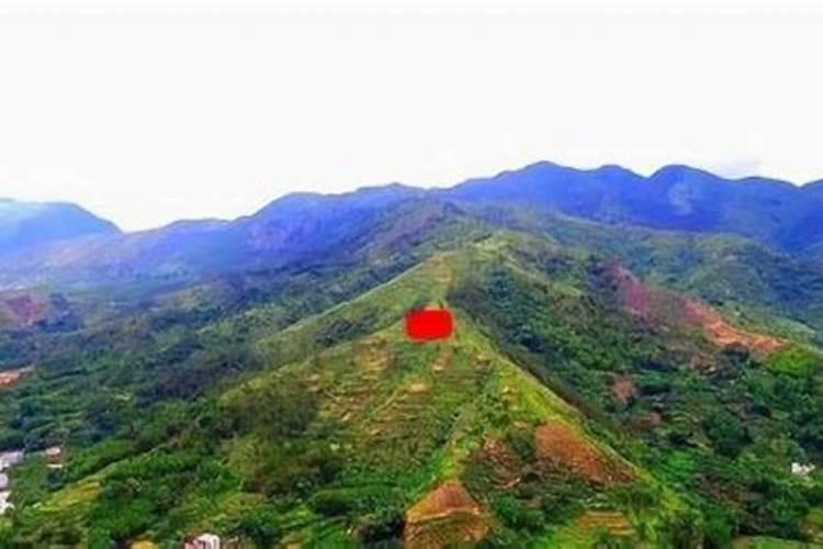 广东信宜市有什么好玩的地方信宜漂流现在开放吗