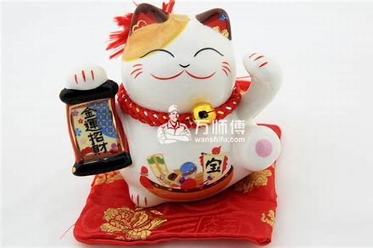 养猫会破坏风水吗？