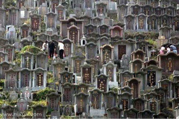 梦见坟墓风水好