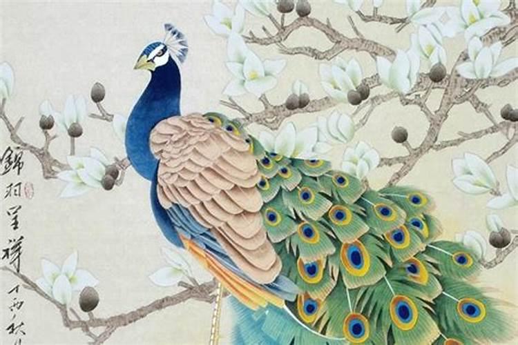 玄关挂孔雀画好不好 容易破财