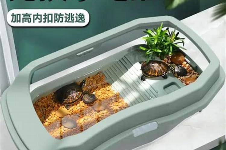 乌龟放在一进门的位置好吗