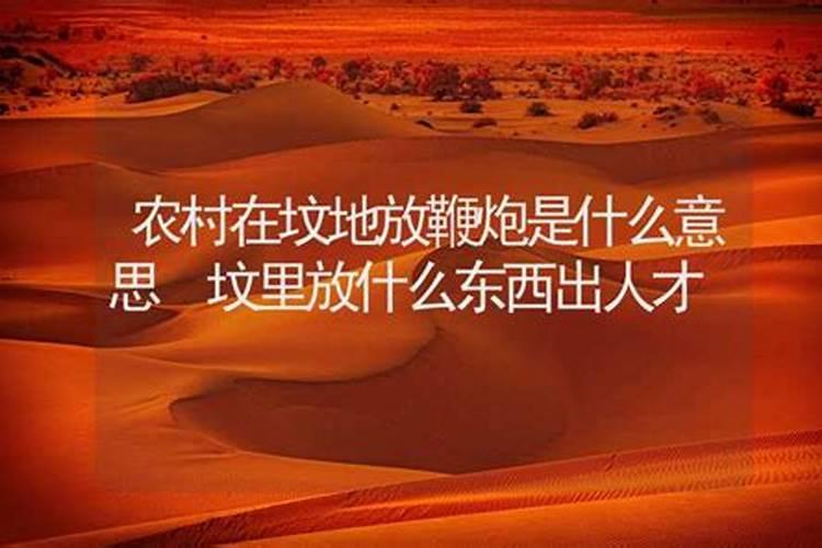 在风水上家里能埋萝卜吗