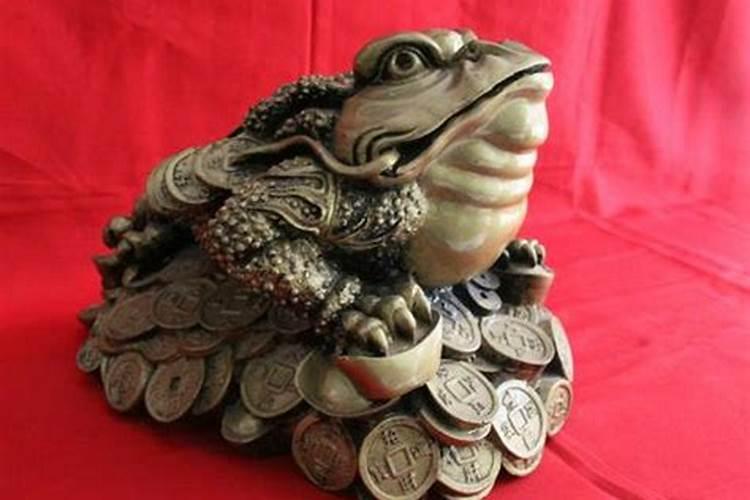 金蝉适合什么属相的人