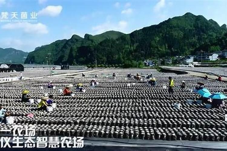 庚金古诀例析