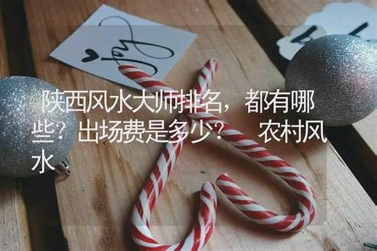 崔苗的个人履历