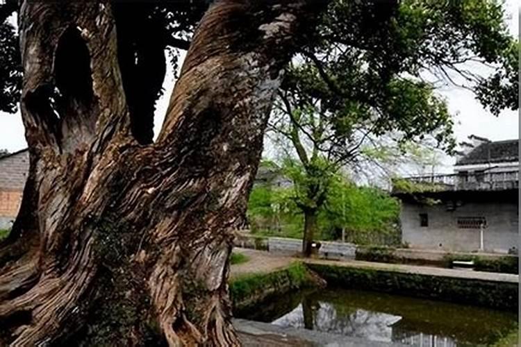 萧江附近旅游景区推荐一下