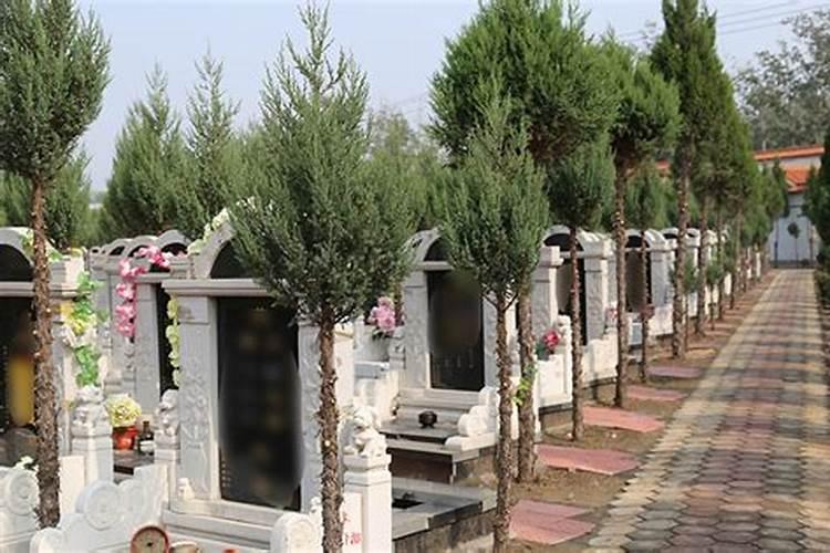 墓地哪个好