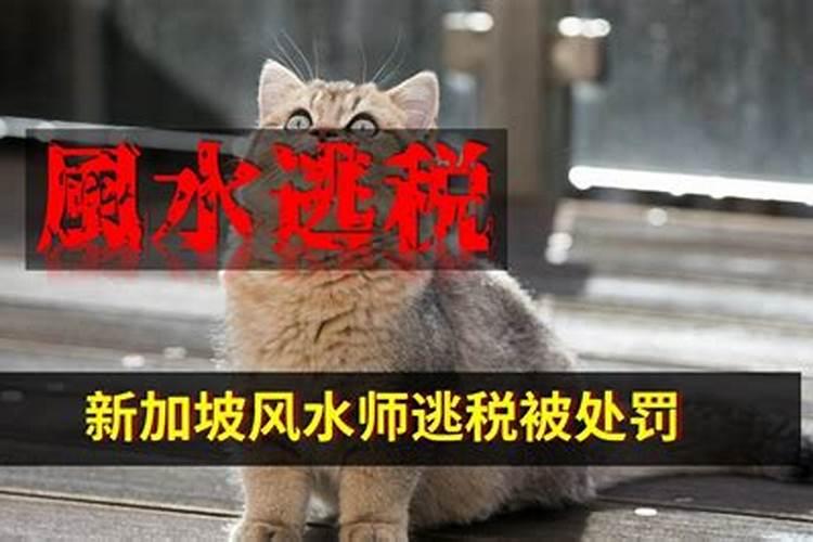 风水师改行吃软饭,15年内“钓”走亚洲女首富27亿,为何进了监狱百度...