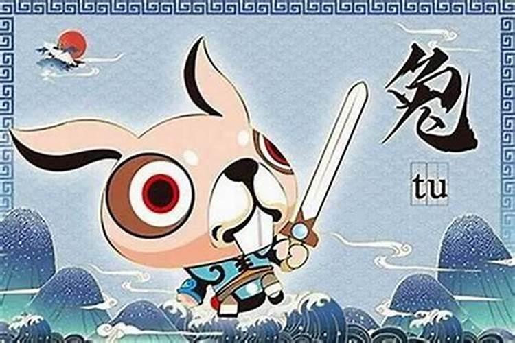 属兔人家里要如何设计风水才会旺？