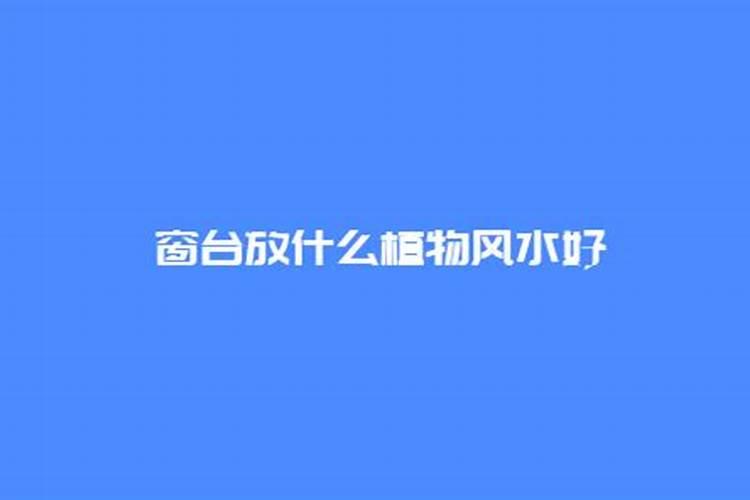 风水学窗台适合放什么