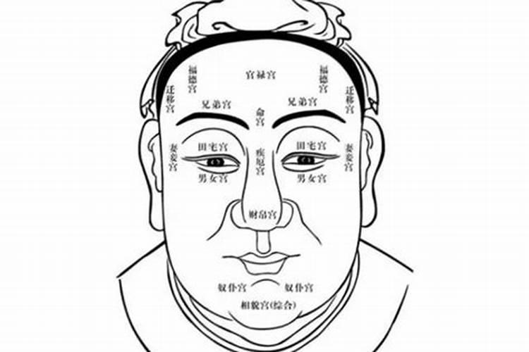 风水中面相是什么意思图解