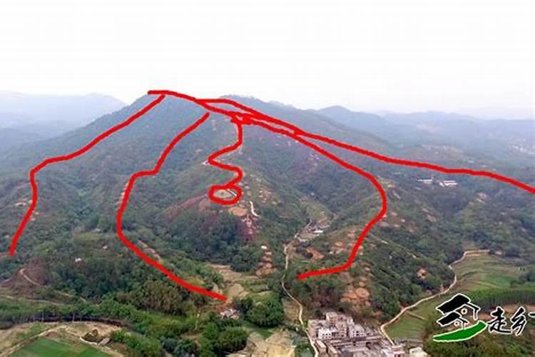 这样的农家小院你喜欢吗？有什么想法？