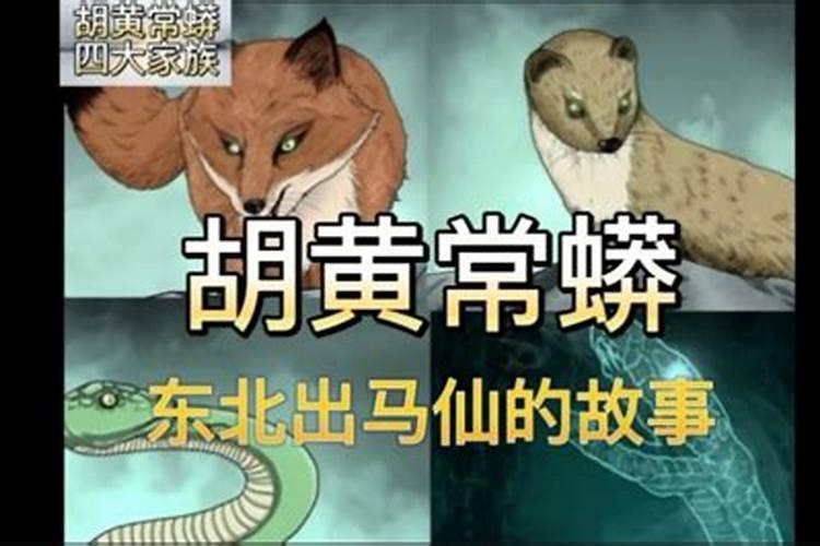 胡黄蟒常蟒哪一家的地位最高？