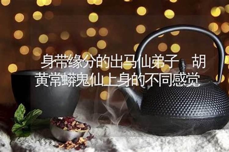 地仙堂单有胡黄常莽蛇对吗