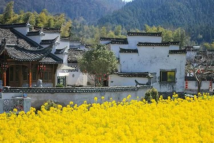 德云社如此强势的发展为什么却视天津这块风水宝地于不见？