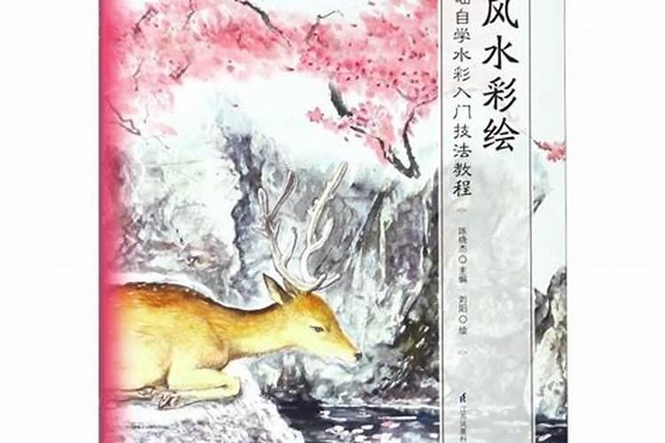 如何自学风水